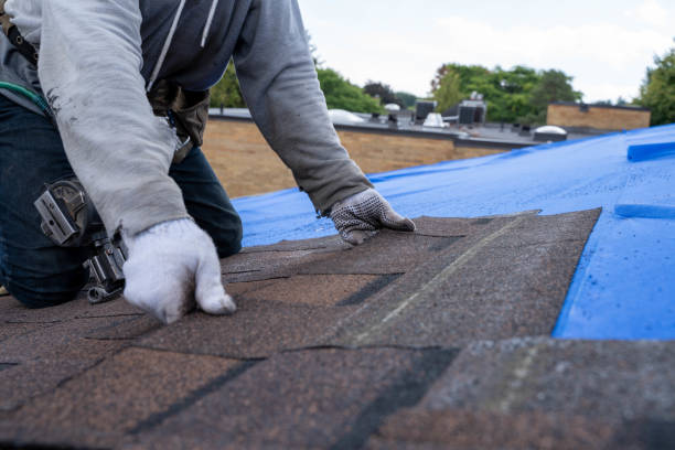 Emergency Roof Repair in Janesville, CA